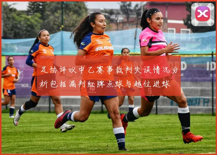 足协评议中乙赛事裁判失误情况分析包括漏判红牌点球与越位进球